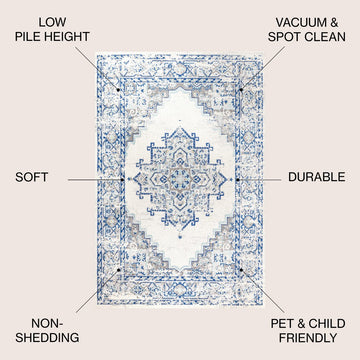 Inigo Cottage Medallion Area Rug